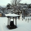 2008年2月10日　雪化粧