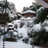 2008年2月10日　雪化粧
