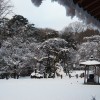 2008年2月10日　雪化粧