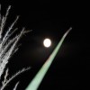 2008年10月11日　ススキと十三夜の月